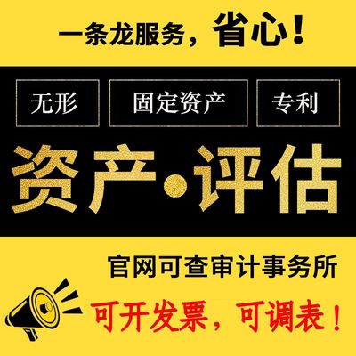 厂家企业固定资产无形报表商标专利软著学校报告机器设备评估房产