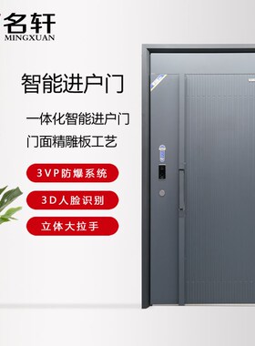 防盗门甲级进户门别墅门家用子母防盗门全自动智能锁高清摄像头