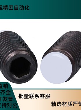 TDA21 内六角黑色止动螺丝SBCTS10/12-12/20/30/40/50/60X/80/100