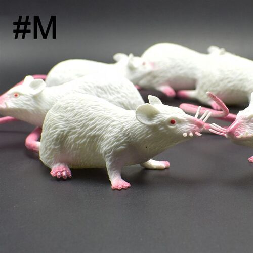 1 Piece Mouse Plastic Rats 22x4.2cm Simulation Rodents Anim