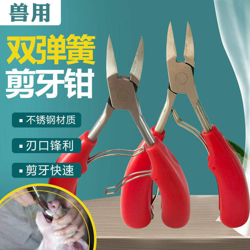 小猪不锈钢剪牙钳断牙钳兽用猪用剪齿钳兔子牙剪钳养殖器械设备