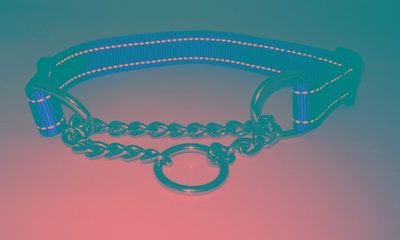 推荐Martingal Dog Collar with Welded Link Chain Pet Nylon Sl