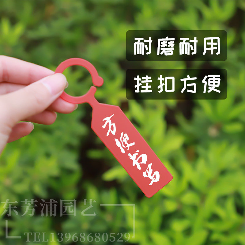 现货园艺标签环扣加n厚塑料防水苗木花卉葡萄西瓜果树植物品种标