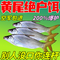 【3秒上鱼】黄尾专用饵料鱼饵野钓夏季专钓黄尾饵料黄尾杀手鱼饵