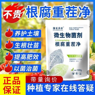 豫见美农根腐重茬净病生烂死苗枯萎土壤活化剂叶面灵宝微生物菌肥