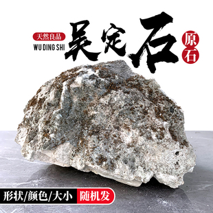 吴定石原石d吸水石头上水石盆栽微景观菖蒲捕虫堇假山观赏石雕摆