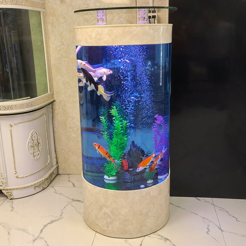 免换水玻璃鱼缸j小中型客厅生态立式圆柱半圆鱼缸落地缸家用水族