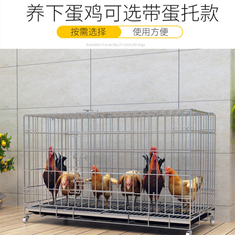 折叠式鸡笼子家用大号养鸡笼自动清粪宠物养殖笼加粗铁丝网鸭鹅舍