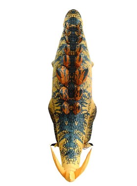 节日化妆晚会恐龙充气服装道具  万圣节派对coPs侏罗纪恐龙园剑龙