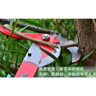 高空剪树枝专用剪刀伸缩高枝剪带绳子摘果器高空剪刀头树枝剪刀长