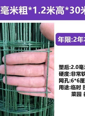 直销新品铁网子围栏铁网格网硬密铁丝F网罩绿色镂空鸡鸭鹅围养网