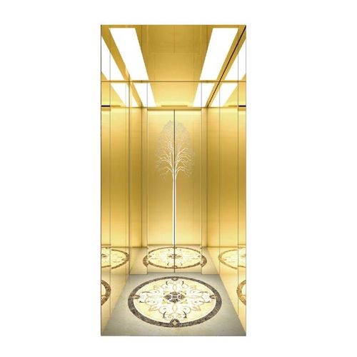 家用小型电梯二层三层四五六层室外液压升降曳引观光室内别墅电梯