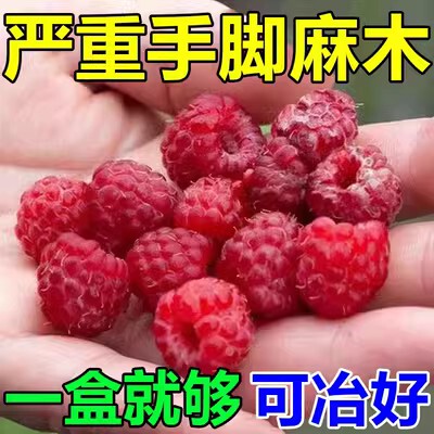 100%有效】手指疼痛手关v节变形肿胀麻木伸张难晨僵月贴子痛手膏H