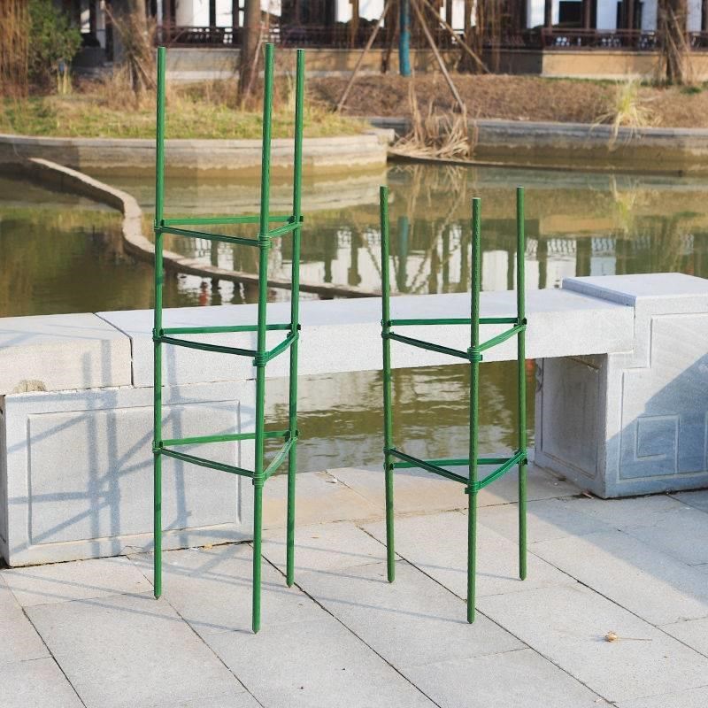 Tomato cucumber beans climbing vine shelf pot balcony