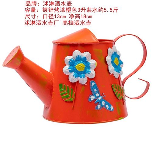 洒水壶浇菜家用不锈钢洒水壶白铁浇花壶农用浇菜长嘴汽车加水壶