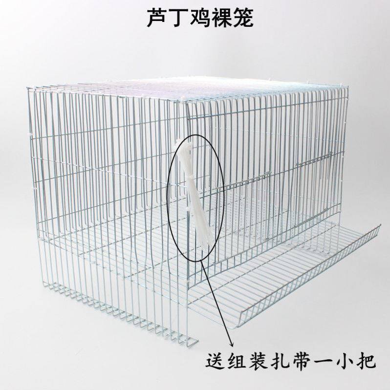 今年流行鹌鹑庭殖专用笼芦丁鸡养殖笼小型家养养殖鸽鹧鸪鹦鹉鸟下