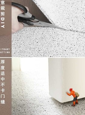 2023兔年地垫入户门垫红色丝圈门口进门脚垫防滑新年大Z门户外地