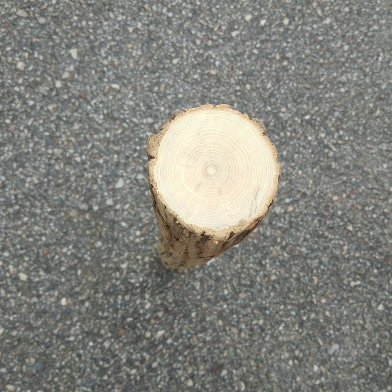 五台山降龙木六道木九道木原木干料鞭杆M武术棍直棍拐杖刮直销