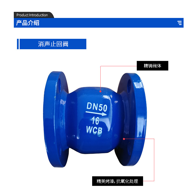 工厂销碳钢法兰消声止回阀消音立卧式A单向阀HC41X-16管道逆止阀D