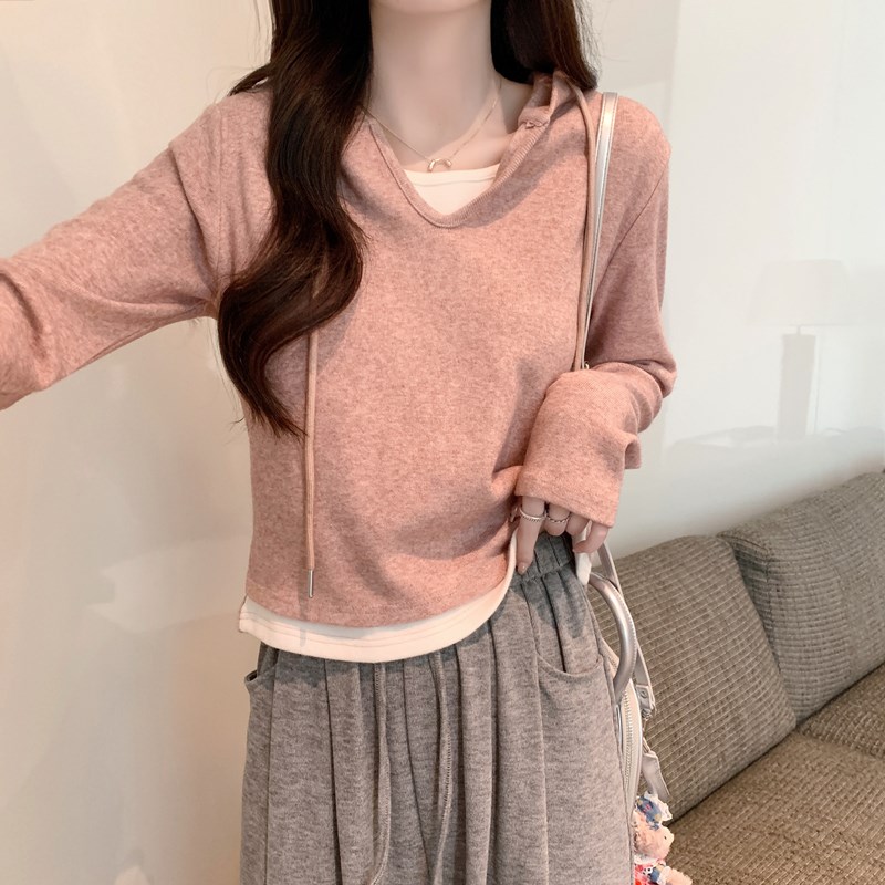 哺乳衣外出辣妈款假两件连帽长袖t恤秋冬打底衫加厚产后喂奶上衣