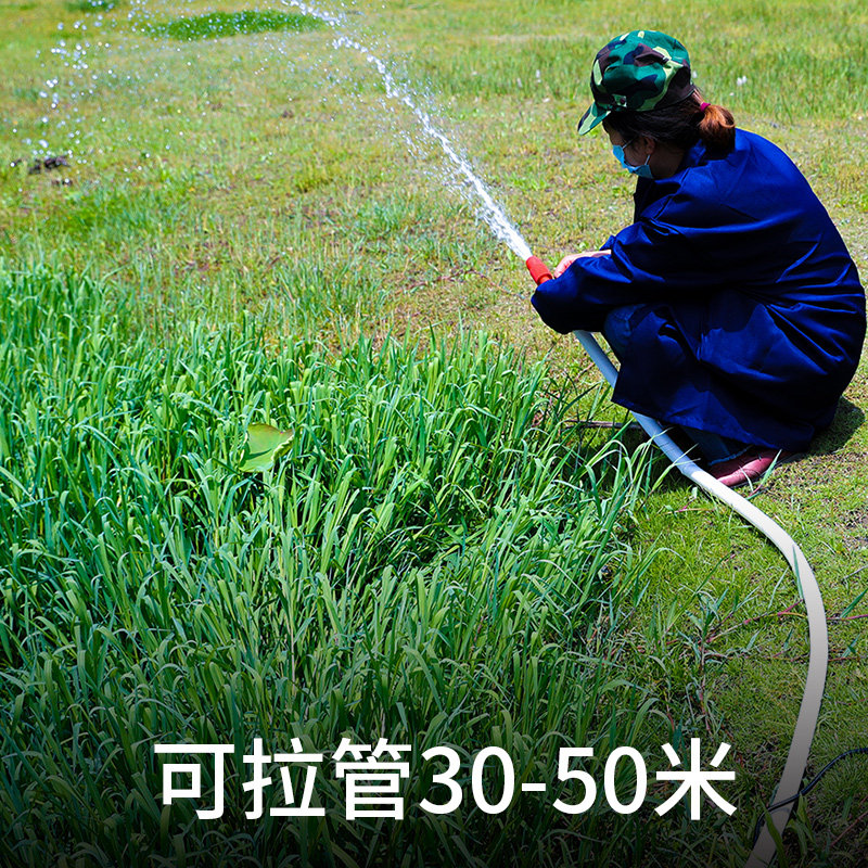 水泵家用抽水电动自吸式抽井水12v浇菜小型浇水机直流电抽水机,鲜花速递/花卉仿真/绿植园艺,花园水泵,淘宝优惠券,粉丝福利购,淘宝优惠卷