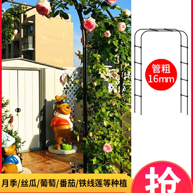 铁线莲月季拱形拱门花架爬藤架攀爬绿植物支架杆葡萄架户外庭院