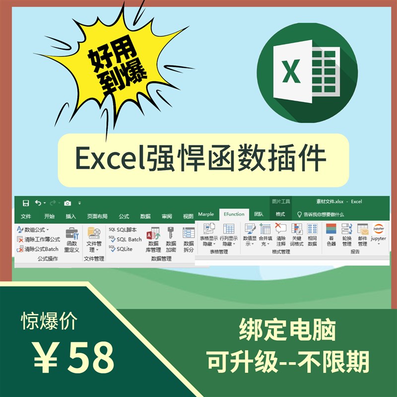 Excel高级函数插件(EFunction,VBA,VSTO定制)