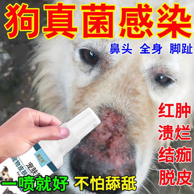 狗狗鼻子真菌感染干裂眼睛除毛结痂红肿皮肤病专用药膏掉毛外用药