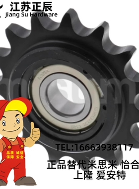 DRC25 35 40 50 60 80-15 16 17 18 19 20-6 8 10 12 惰链轮替代