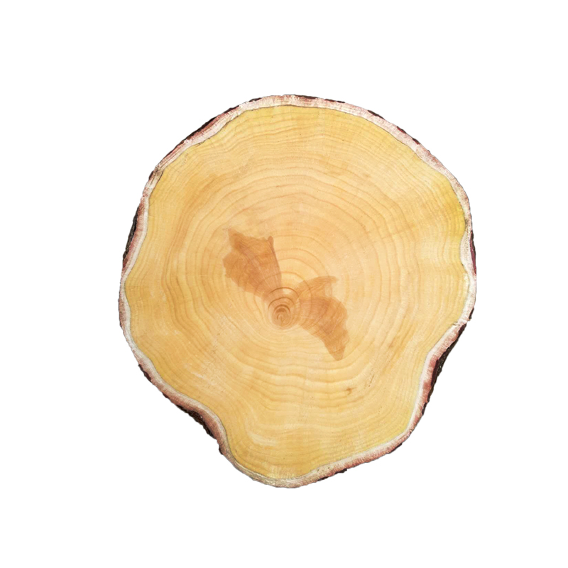 邳州银杏木菜板实木砧板白果木菜墩切菜板家用整木圆形加厚大带皮
