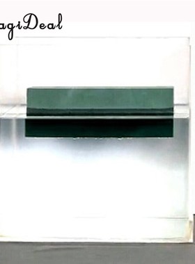 Inserting Fresh Flower Mud Floral Foam Bricks Wet Foam Block