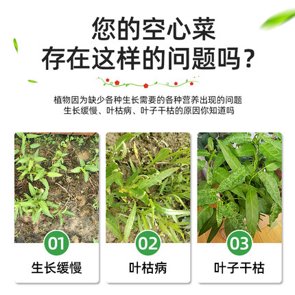 空心菜肥料专用肥营养液盆栽地栽土藤藤菜M通心菜有机肥农用种菜