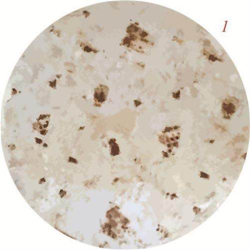 大饼毯子葱抓饼毯子被子大饼毛毯床单杯子浴巾卷饼烧饼盖毯子披萨,婴童用品,婴童毛毯/盖毯,淘宝优惠券,粉丝福利购,淘宝优惠卷