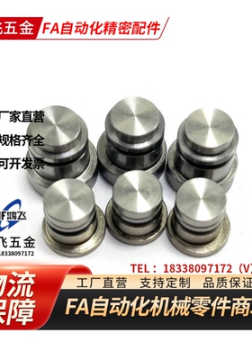 直线导轨定位销偏心销LLT3.5 LLT5 LLTS5 ICE11-T5不锈钢ICE12-T5