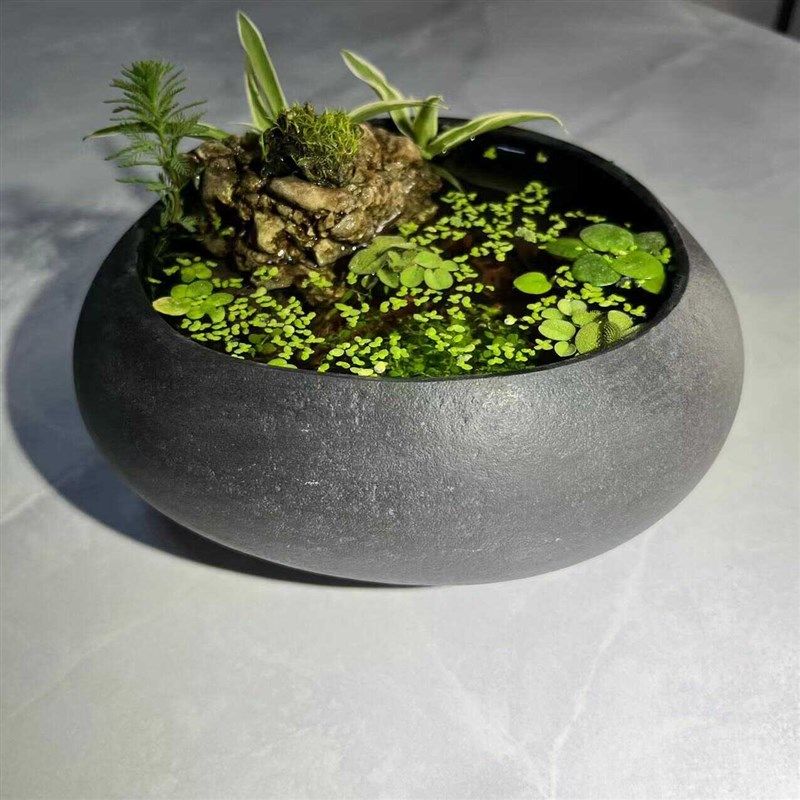 天然鹅卵石花盆小鱼缸手工艺石盆器桌面办公桌鱼缸装饰摆件古法缸,家居饰品,桌面摆件,淘宝优惠券,粉丝福利购,淘宝优惠卷