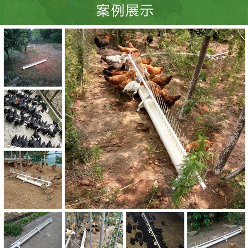 速发新款鸡用自动饮水器鸡鸭鹅用自动饮水喂水器水槽养鸡设备用品