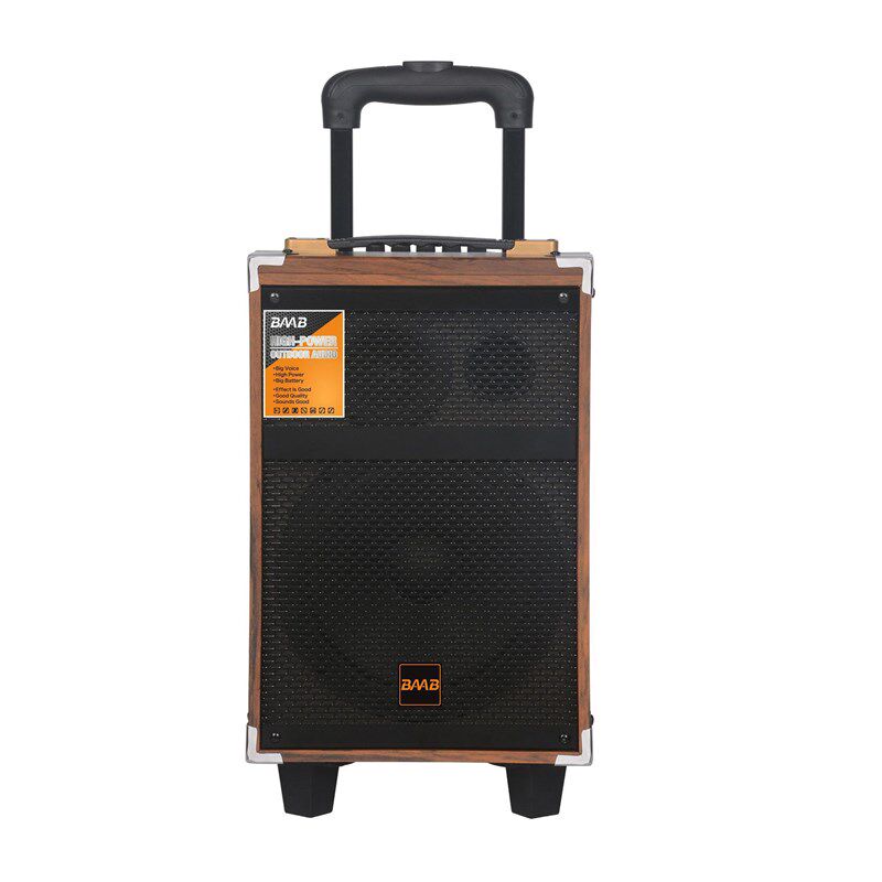 8寸木质广场舞音响户p外k歌音箱大功率带无线话筒蓝牙拉杆移动