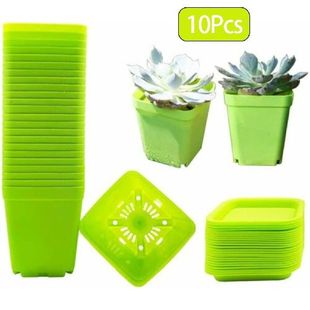 For Plant With 极速10Pcs Tray Nurse Garden Box Grow Home Pot