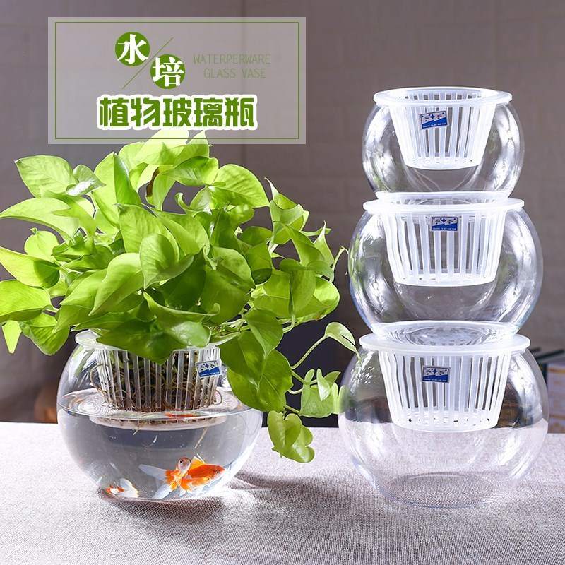 现货速发口径装饰品摆饰绿植养花玻璃瓶水培办公桌摆设器具容量家