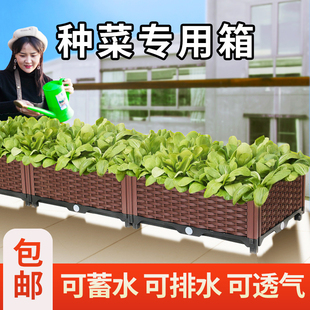 户外多肉兰花花盆种菜专用箱塑料爬藤支架花箱阳台蔬菜种植大花盆