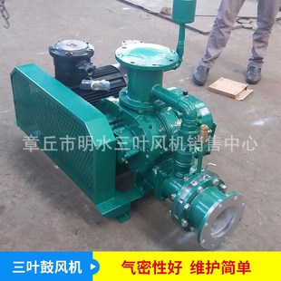 现货销售罗茨真空泵特殊气体三叶罗茨风机密封性好罗茨增压泵