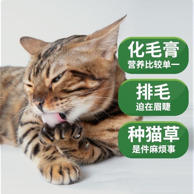 喵铮铮猫草羊g奶棒主食冻干 50g/包 猫咪营养拍毛洁齿磨牙