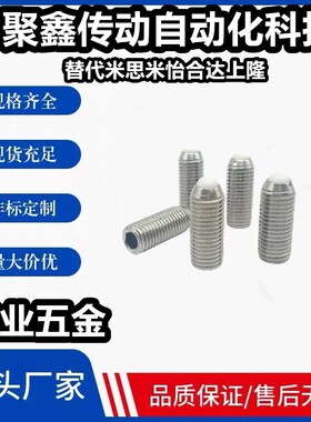 NSZL/NSXL3/4/5/6/8/10/12/16 树脂头球头柱塞 不锈钢波珠螺丝