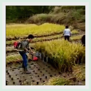 小麦收割机农用小型割谷机水稻家用割草机割麦神器除草机山区玉米