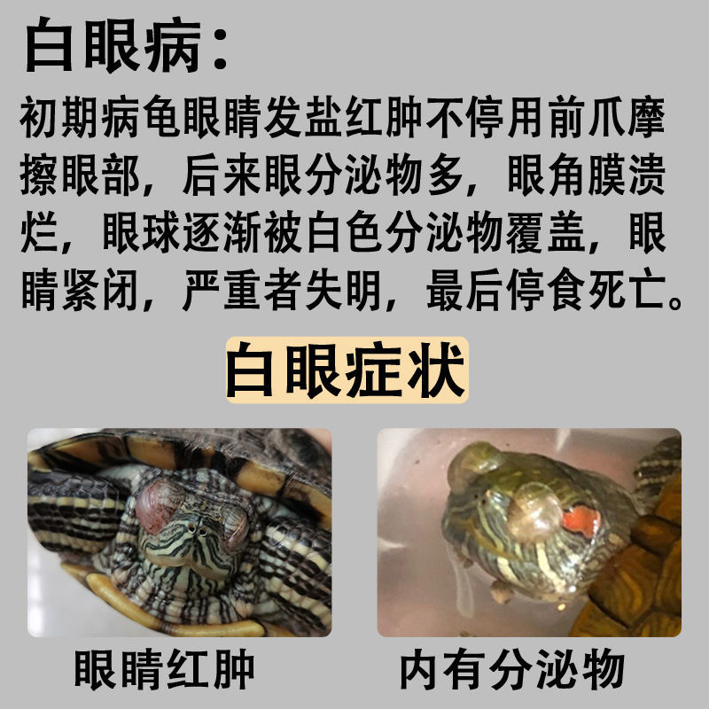 乌龟白眼病专用药通用巴西龟眼药眼睛红肿发白预防腐皮烂甲乌龟药