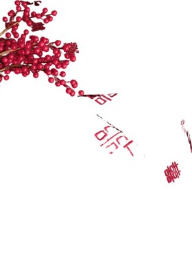 炬1新中式婚庆长绒棉p贡缎结婚四件套全棉纯棉绣花红色喜被单床上