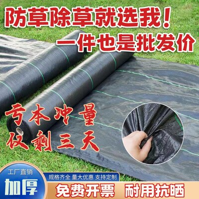 防草布除草布果园果树农用遮盖草透气保湿耐用大棚园艺地布钉地膜