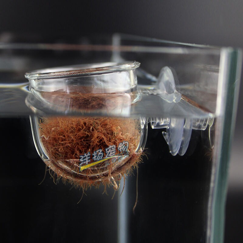 水族箱鱼缸玻璃红虫杯线虫血虫喂食器投食吸盘水草活虫漏斗鱼虫杯