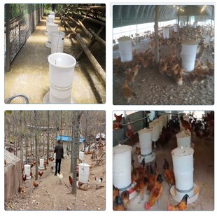 养鸡自动喂鸡喂食器鸭全自动投料机鸽子定时下料器小家用投食电动