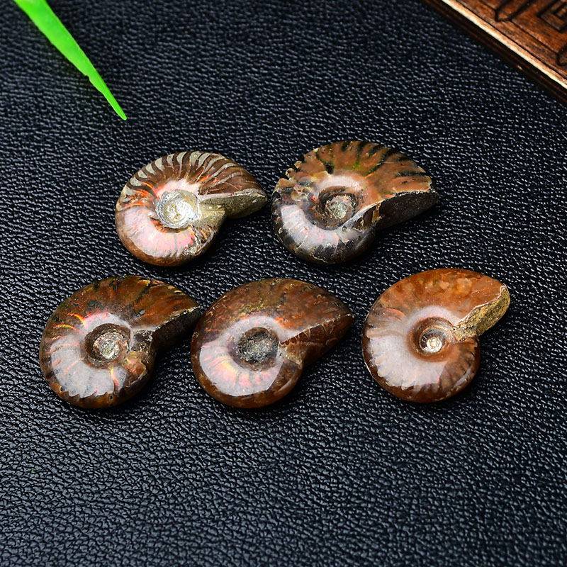 新品天然斑彩螺贝壳原石摆件海螺玉化石矿石标本diy男女款吊坠挂